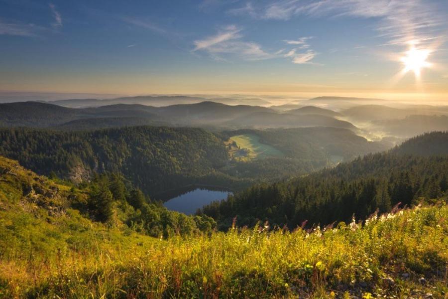 Mellex Fewo Feldberg  Esterno foto